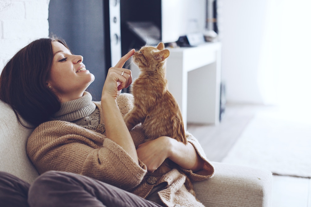 Young,Woman,Wearing,Warm,Sweater,Is,Resting,With,A,Cat
